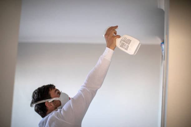 Best Mold Remediation  in Morristown, NJ
