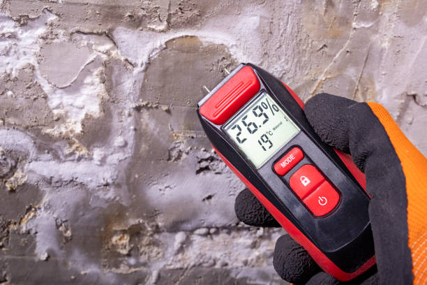  Morristown, NJ Mold Removal Pros