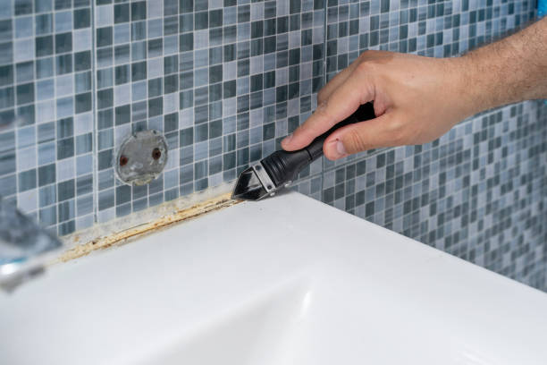 Best Same-Day Mold Removal  in Morristown, NJ