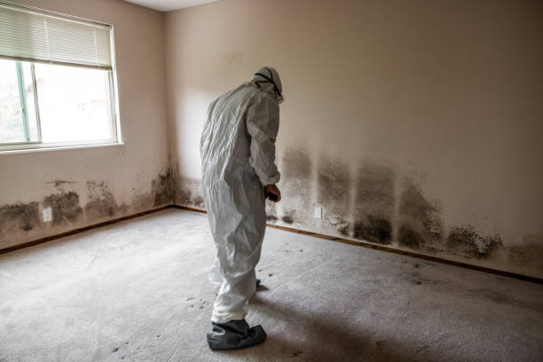 Best Crawl Space Mold Removal  in Morristown, NJ