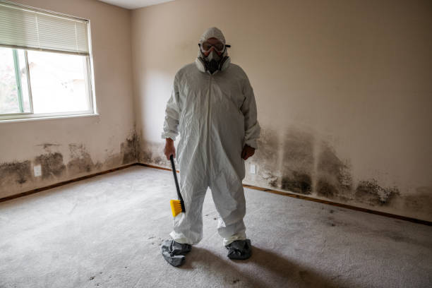 Crawl Space Mold Removal in Morristown, NJ